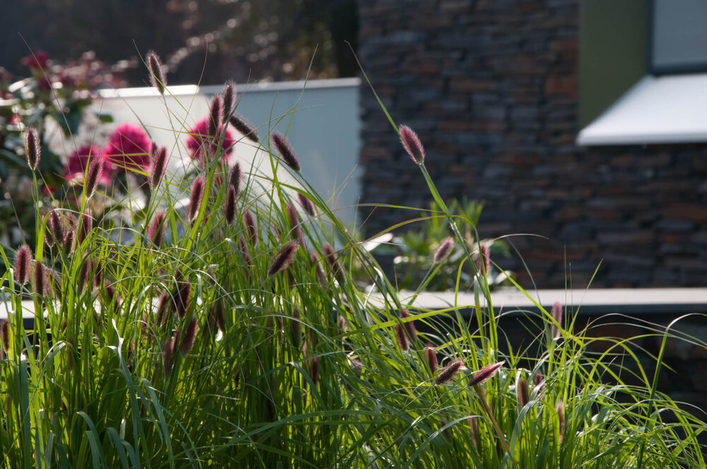 De vier seizoenen in uw tuin