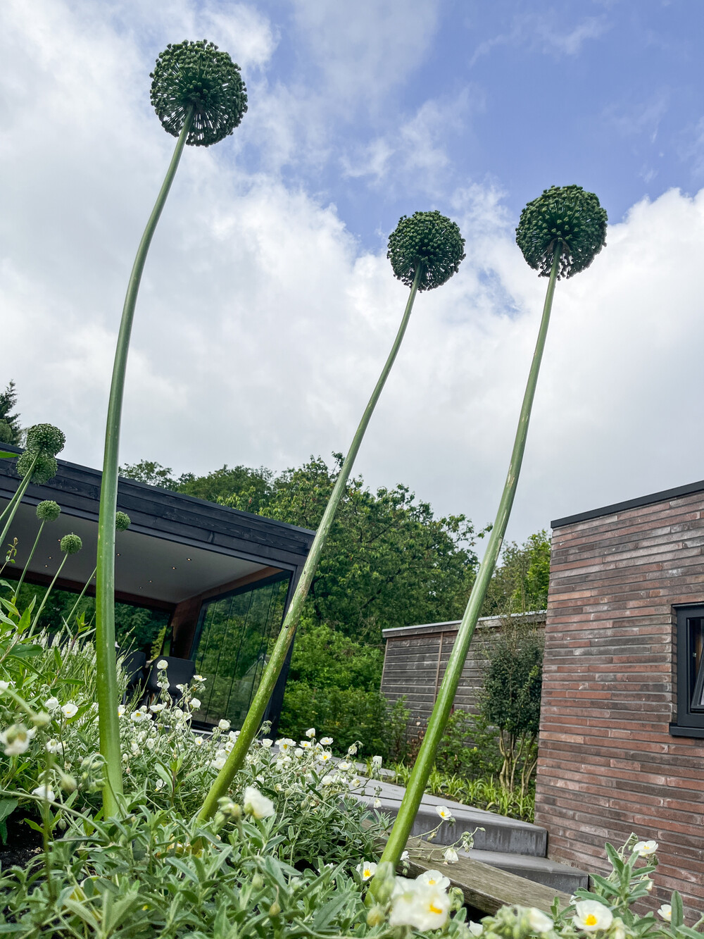 Hoogteverschillen in de tuin