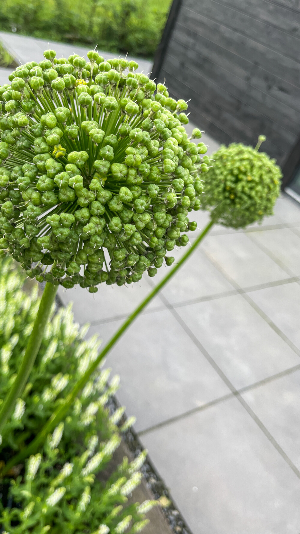 Hoogteverschillen in de tuin