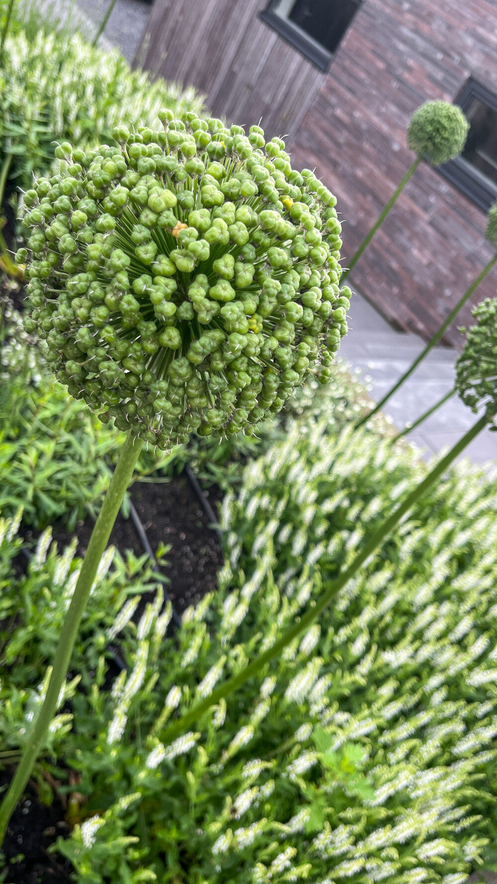 Hoogteverschillen in de tuin