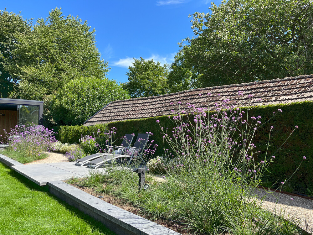 Moderne en onderhoudsvriendelijke tuin