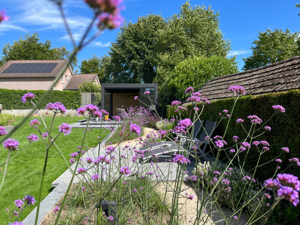 Moderne en onderhoudsvriendelijke tuin