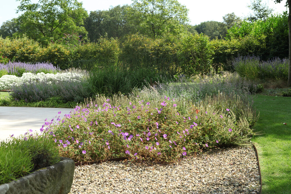 Levensloop bestendige tuin