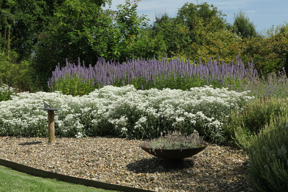 Levensloop bestendige tuin