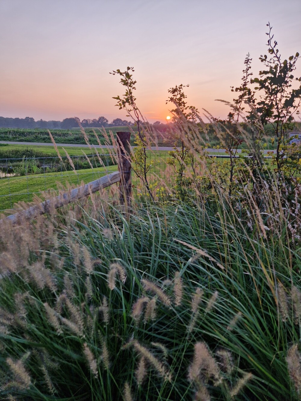 Landelijk Moderne tuin