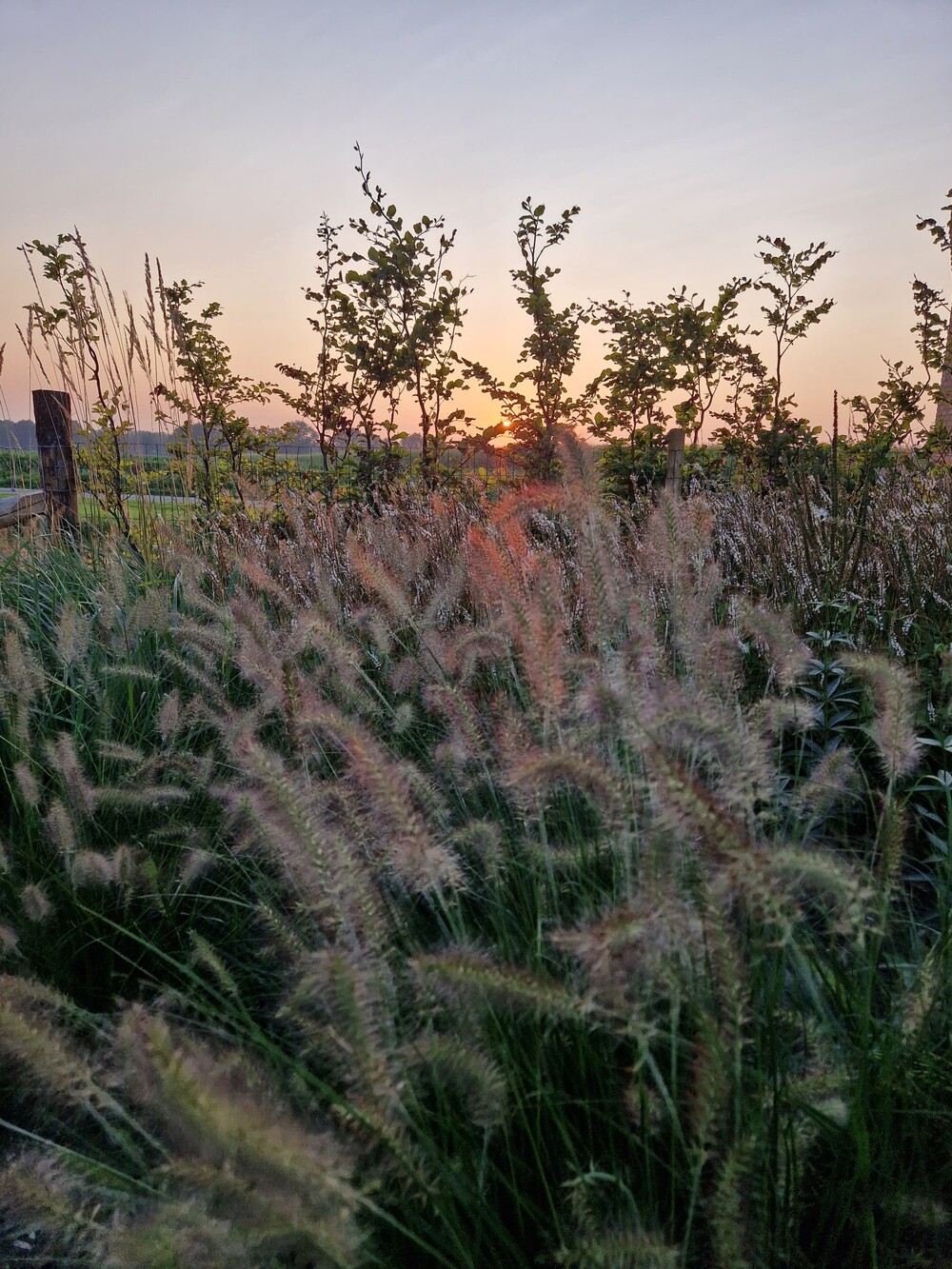 Landelijk Moderne tuin