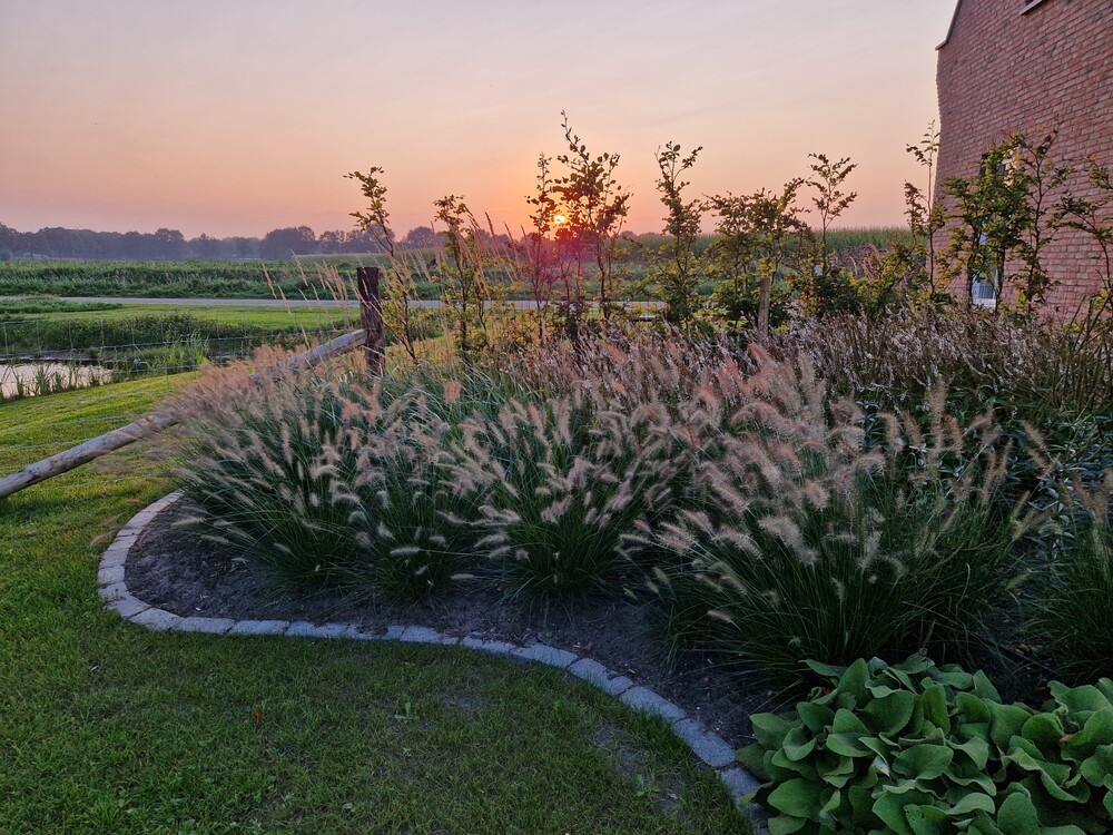 Landelijk Moderne tuin