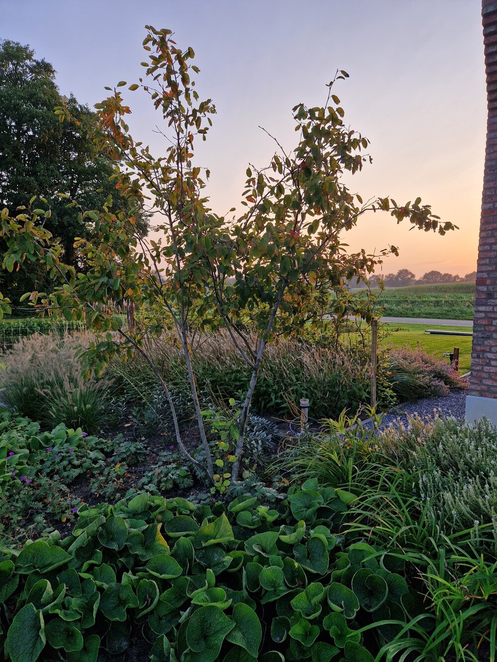 Landelijk Moderne tuin