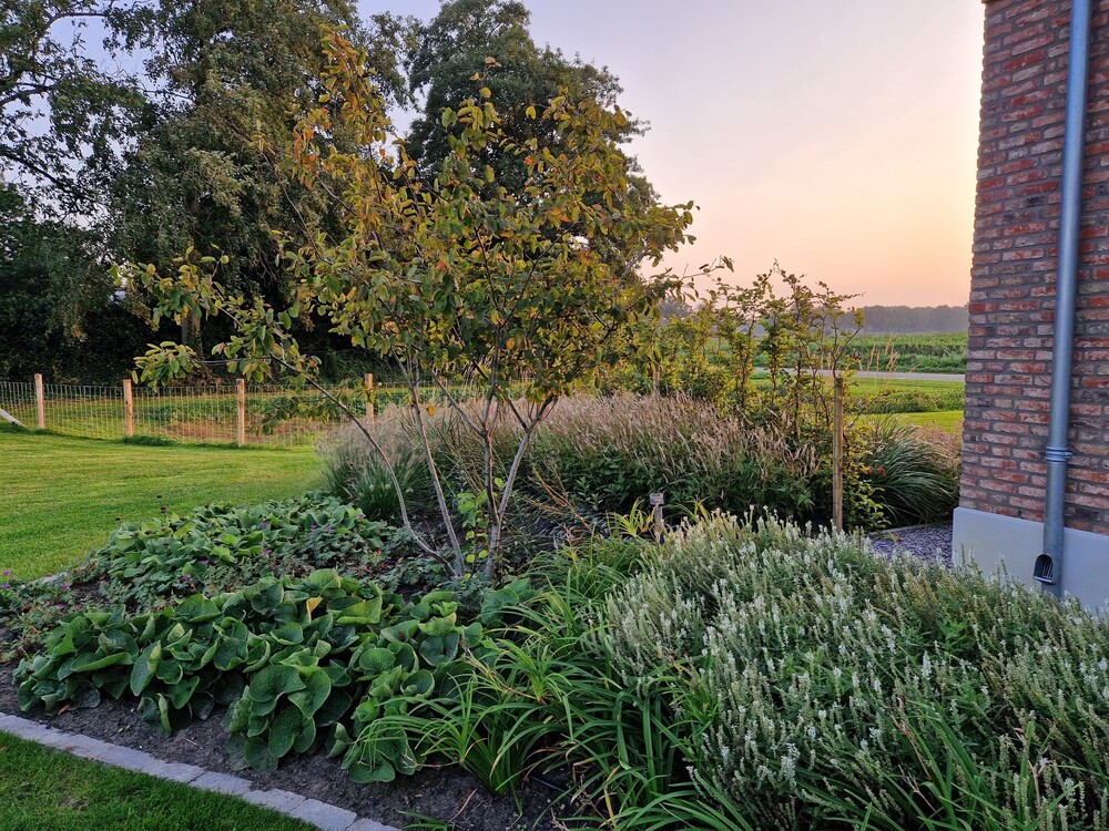 Landelijk Moderne tuin