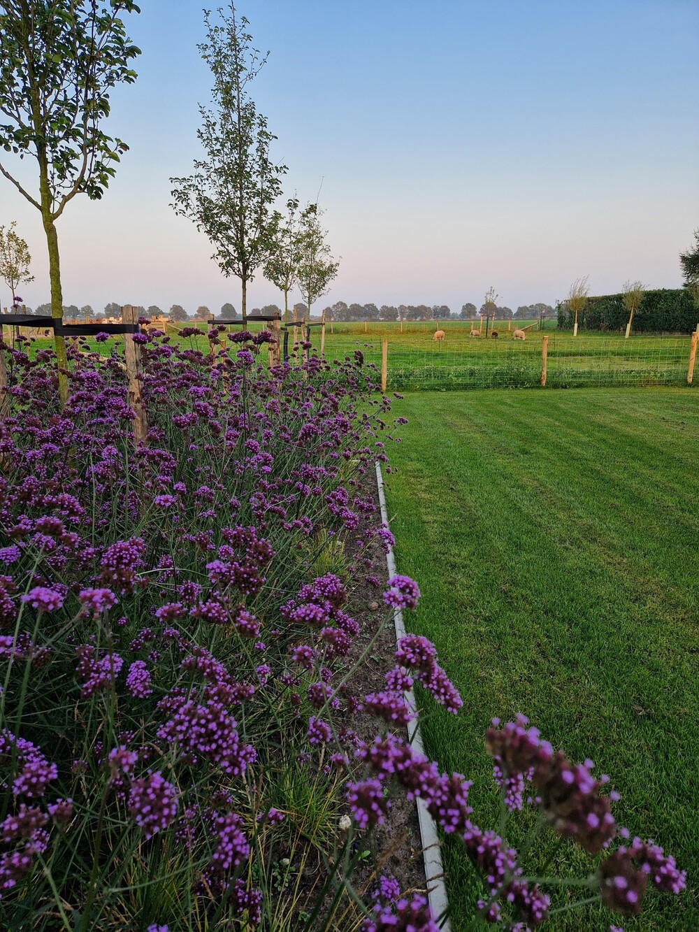 Landelijk Moderne tuin