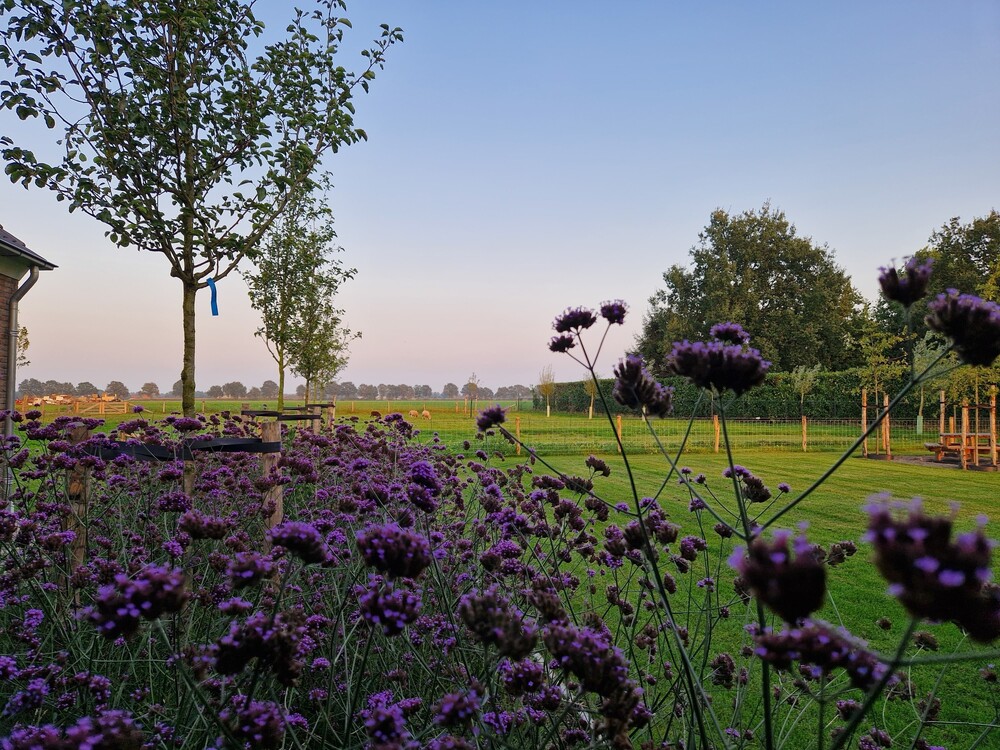 Landelijk Moderne tuin