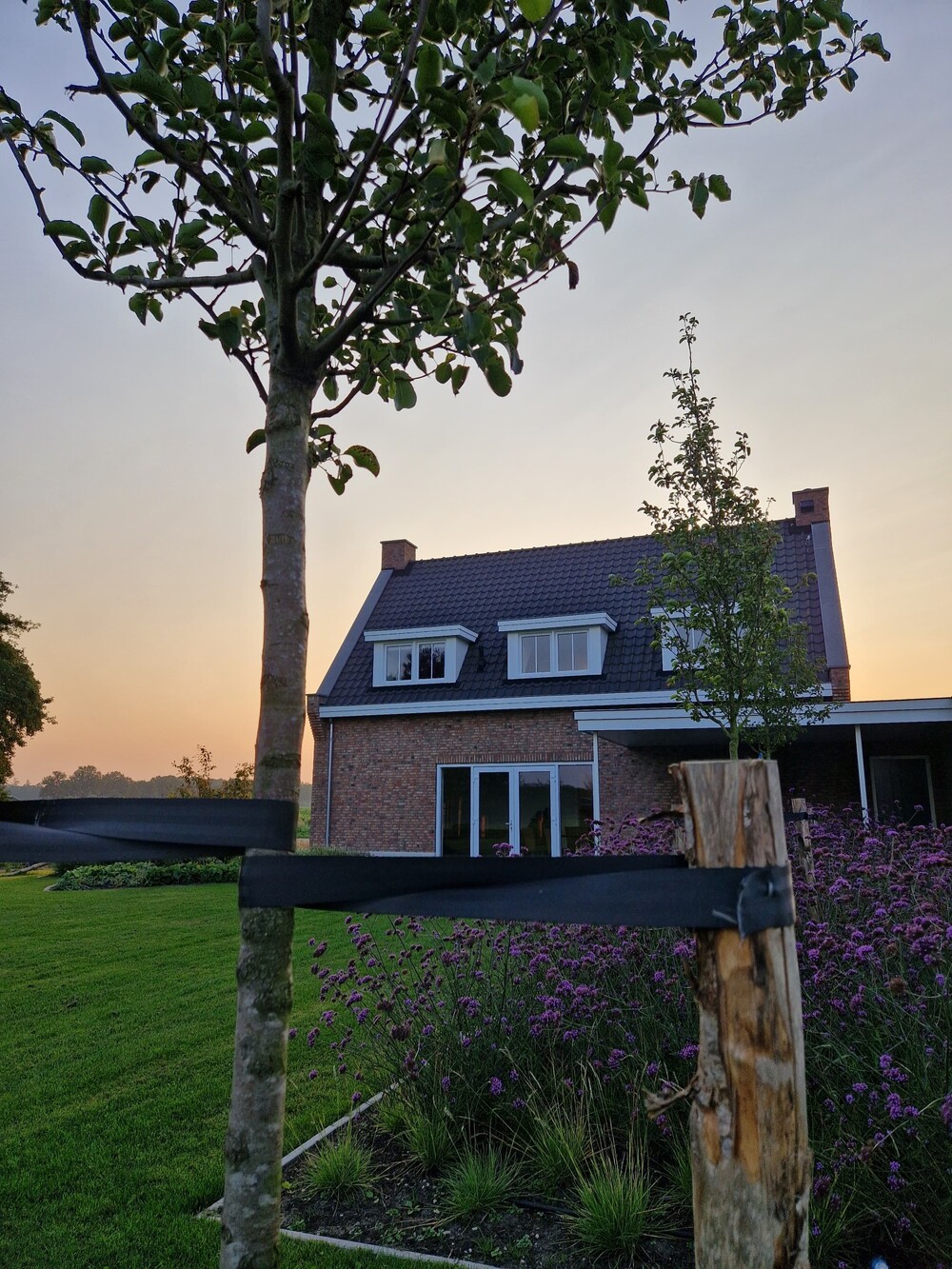 Landelijk Moderne tuin