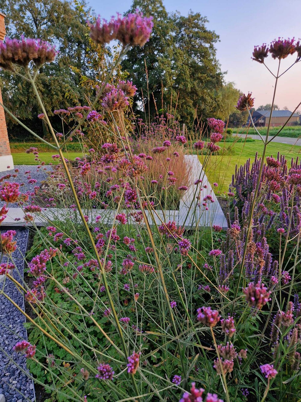 Landelijk Moderne tuin