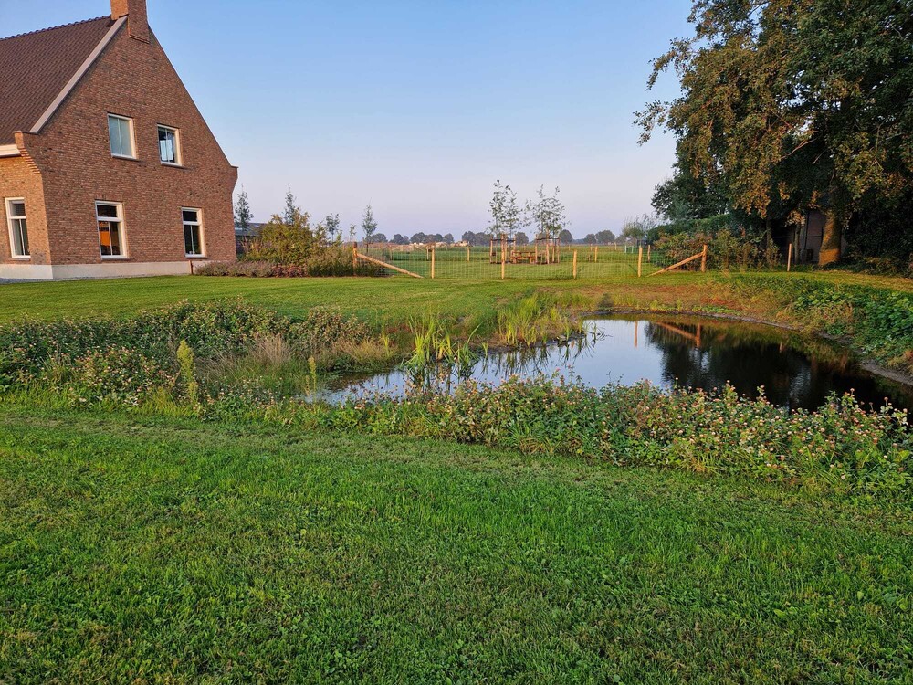 Landelijk Moderne tuin