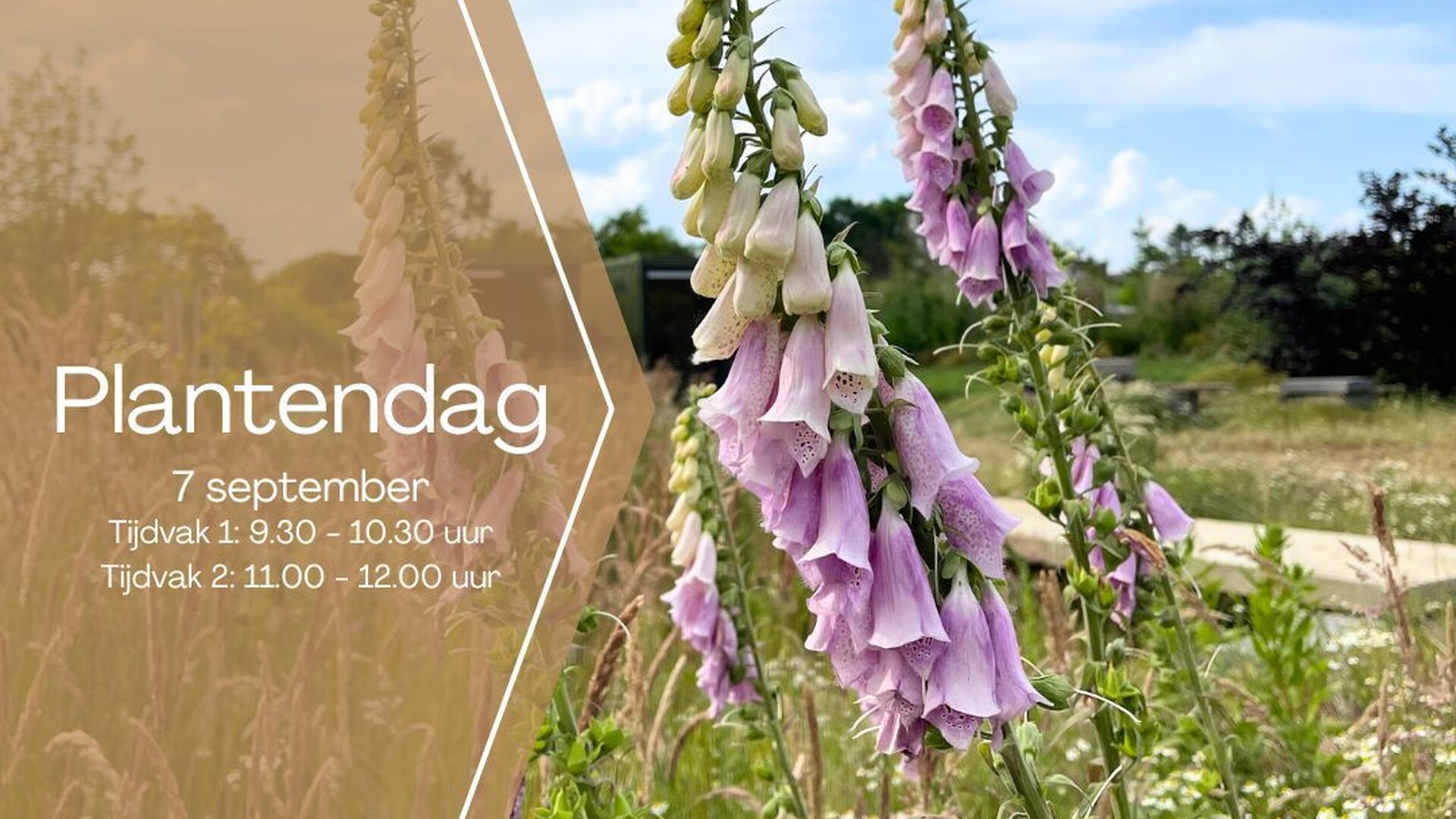 Algemene foto project Plantendag | Rondleiding showtuin